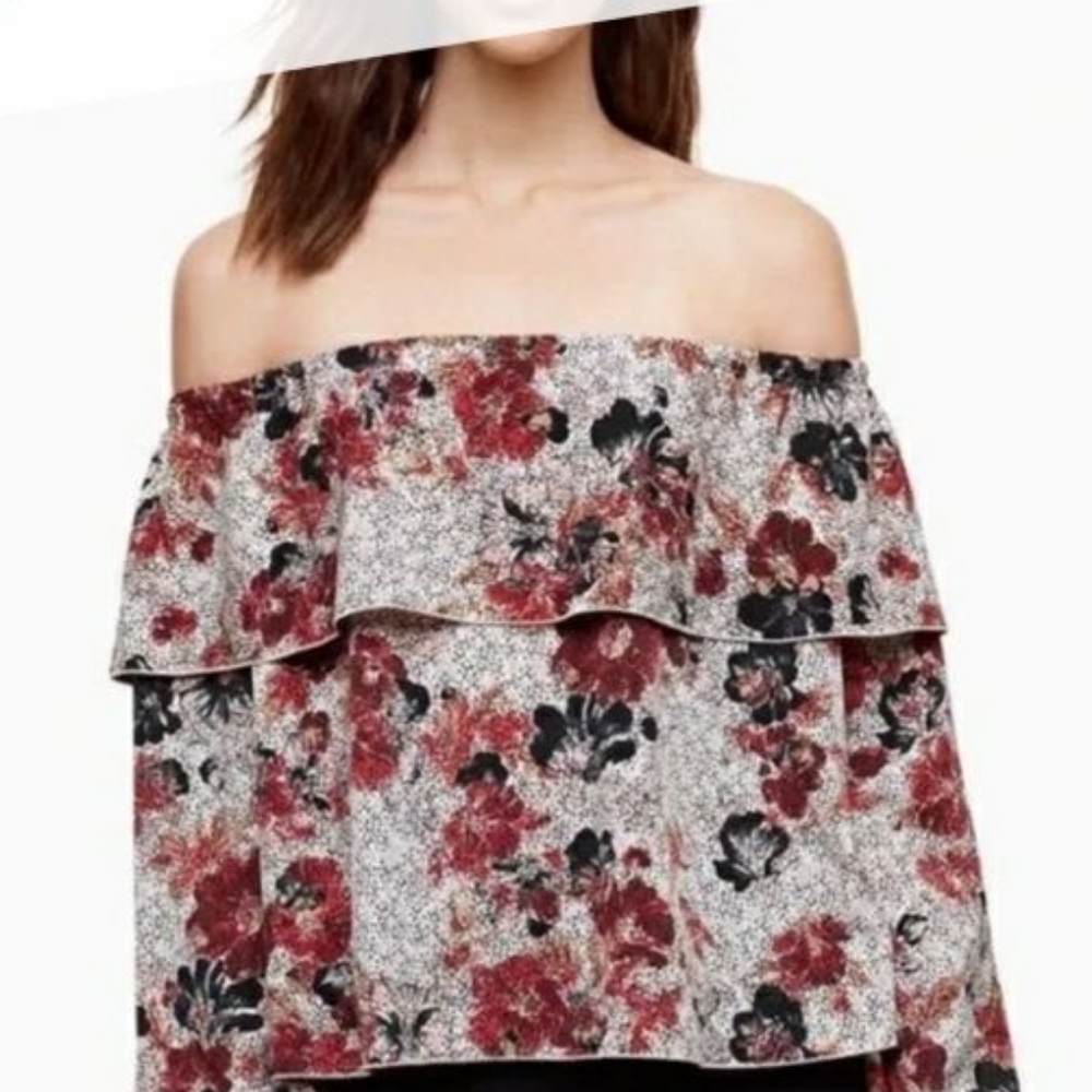 Wilfred Aritzia Morel Offshoulder Peasant Top In Small